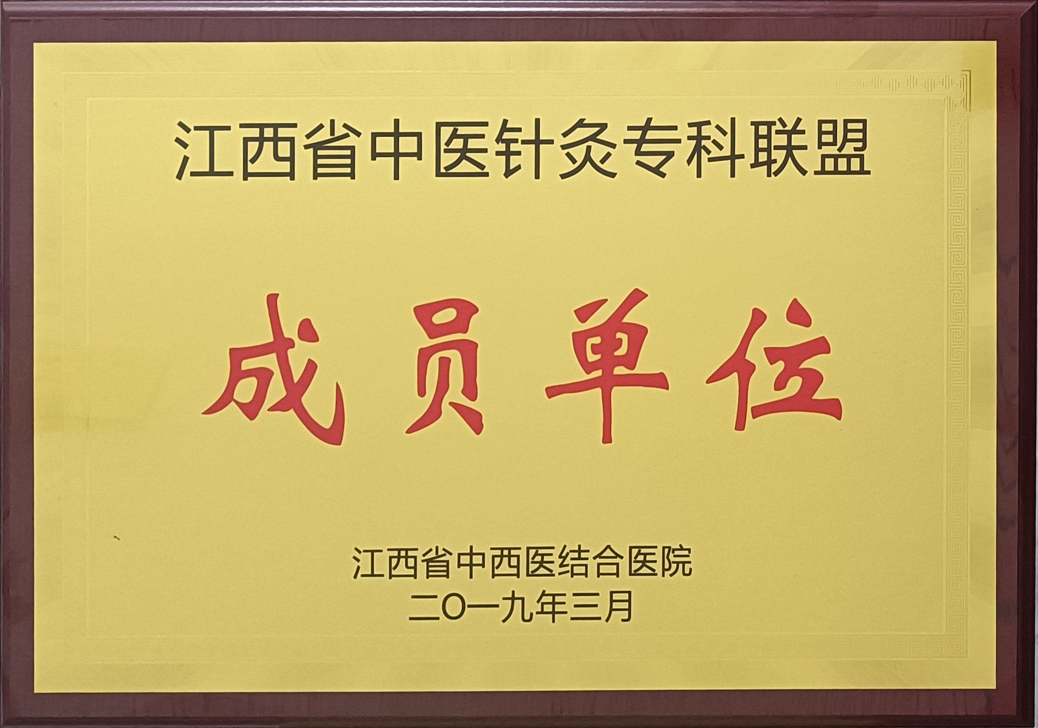 江西省中医针灸专科联盟成员单位